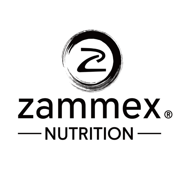 ZAMMEX logo