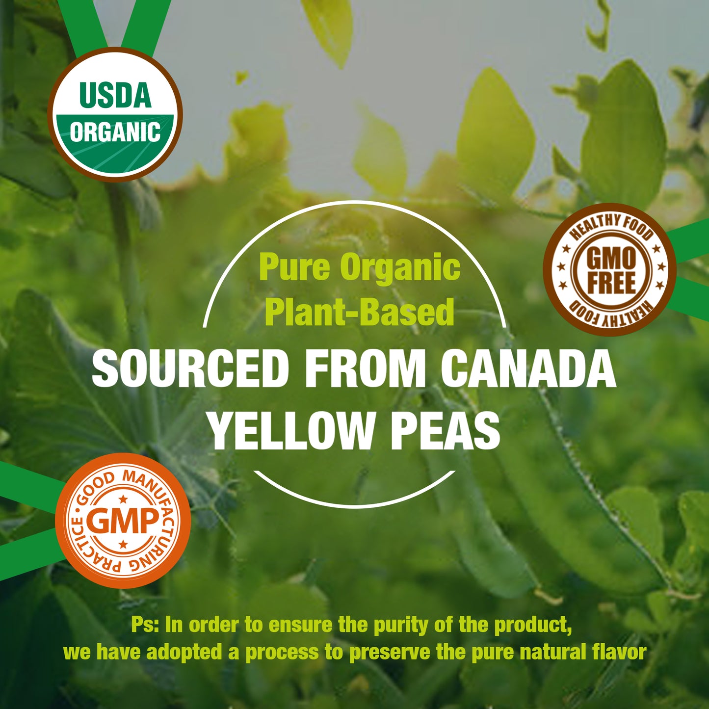 Zammex Organic Hydrolyzed Pea Protein 2.62lb