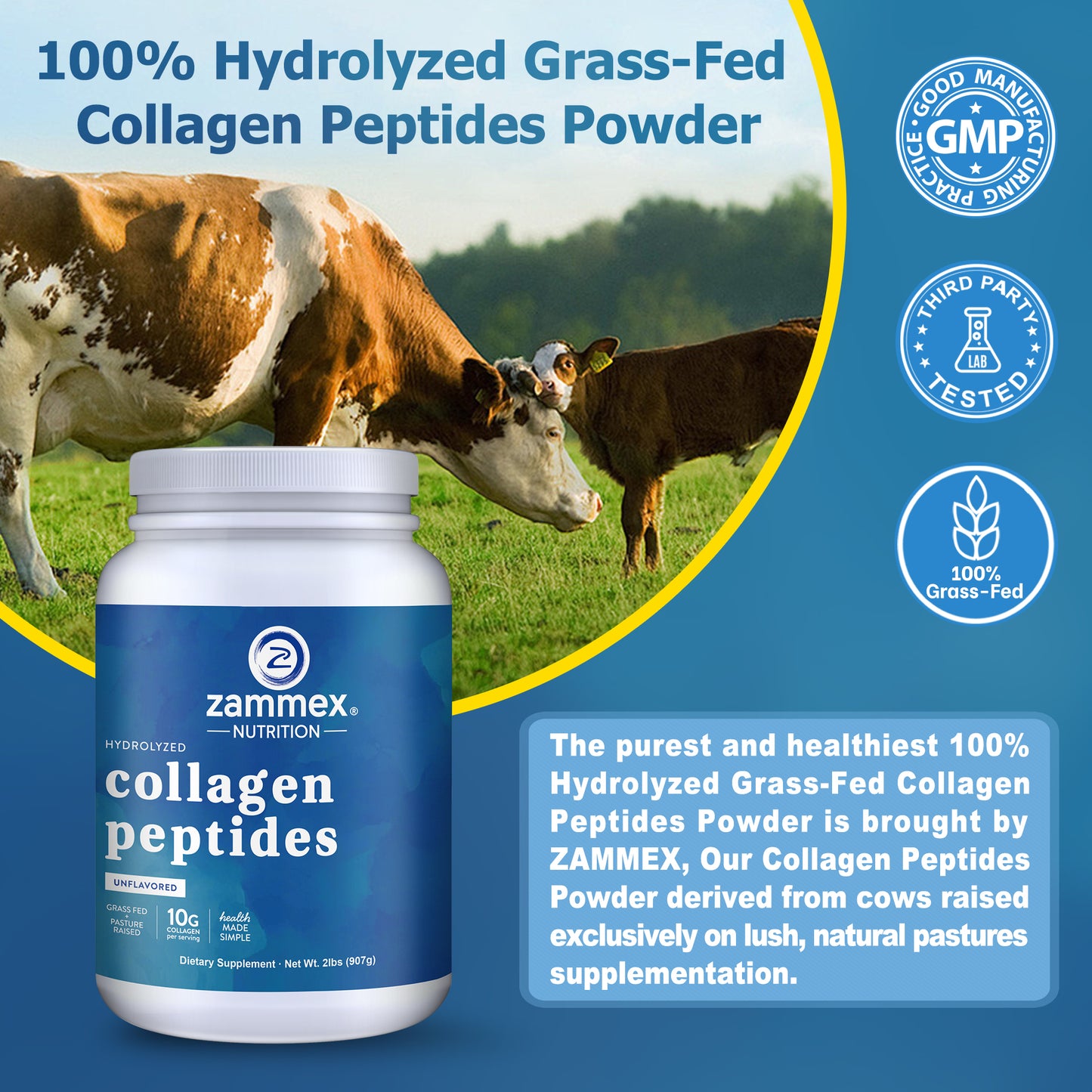 Zammex Hydrolyzed Collagen Peptides Powder 2 lbs Unflavoured