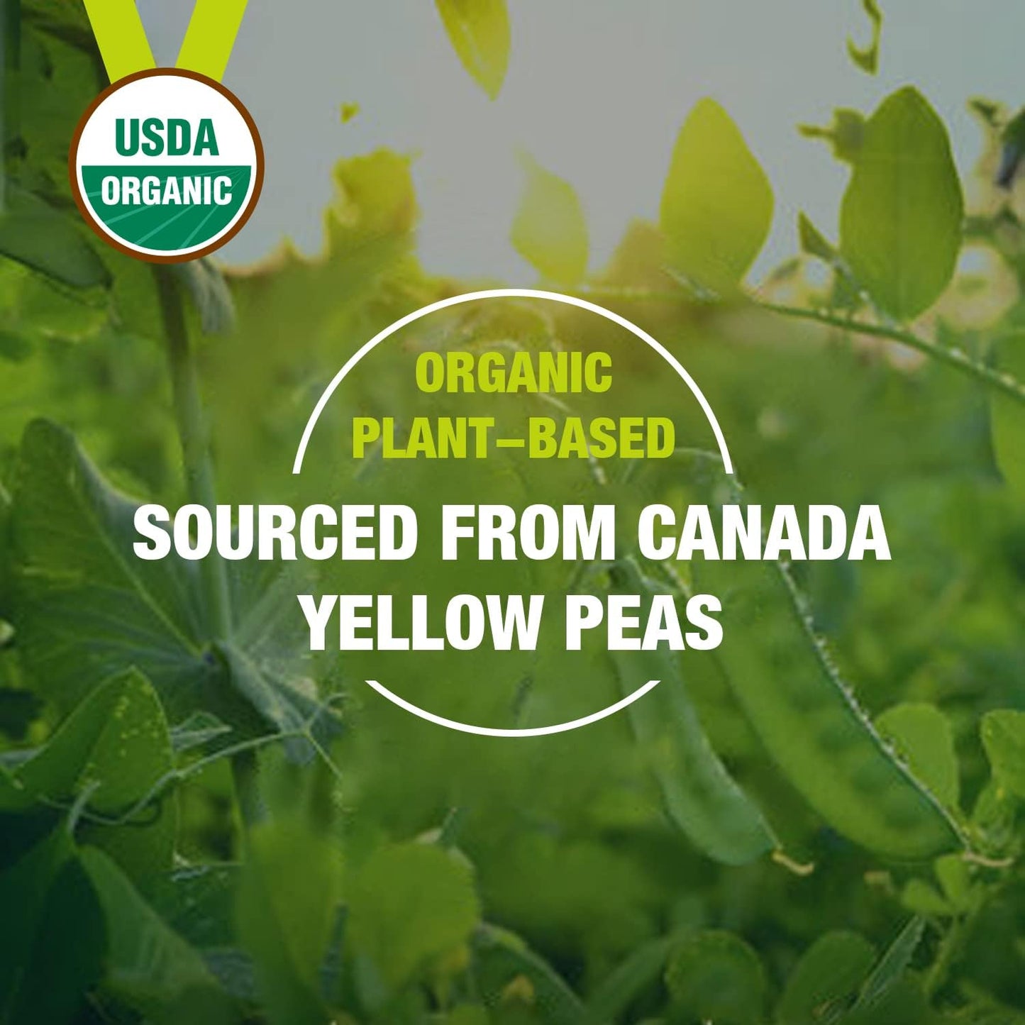 Organic Hydrolyzed Pea Protein-2.62lb