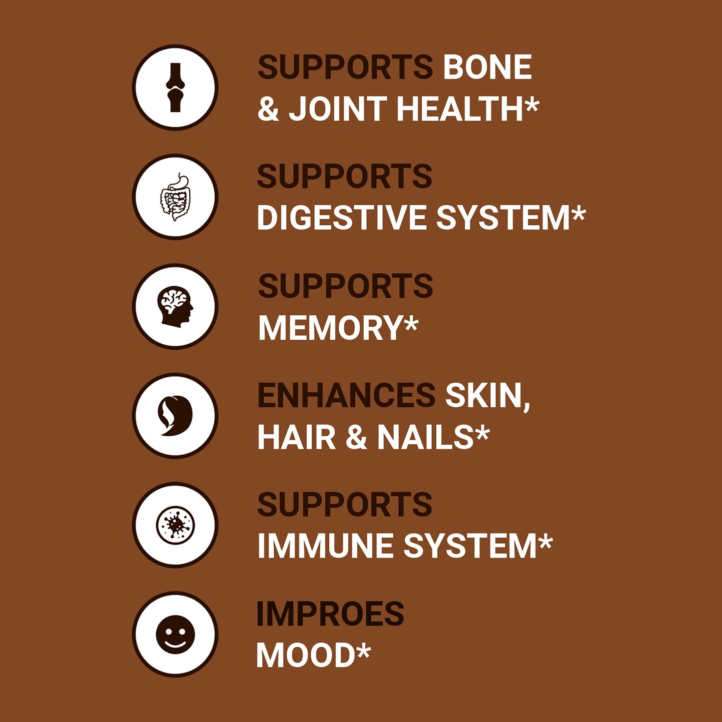 Zammex Chocolate Bone Broth Protein supporting gut health, digestion, joint mobility, and bone strength.