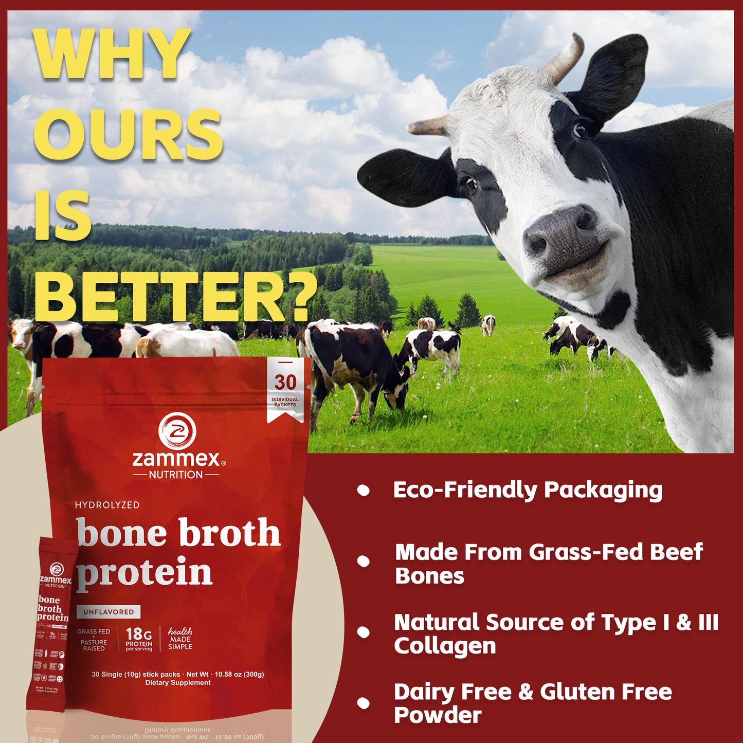 Close-up of Zammex Hydrolyzed Bone Broth Protein Powder showing fine collagen-rich texture for easy mixing.