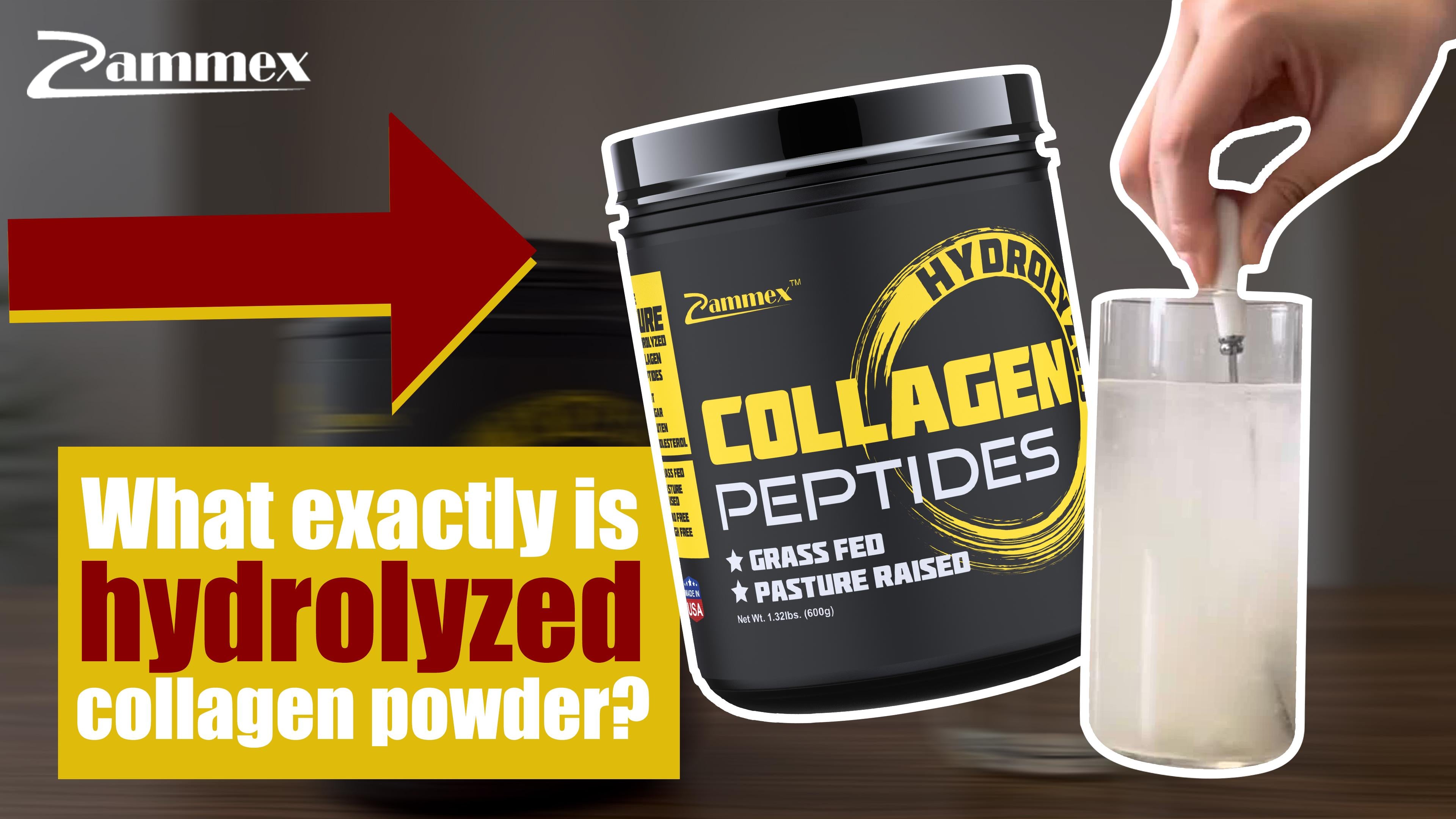 What is hydrolyzed collagen and how is it different from collagen? – ZAMMEX