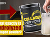 What is hydrolyzed collagen and how is it different from collagen?