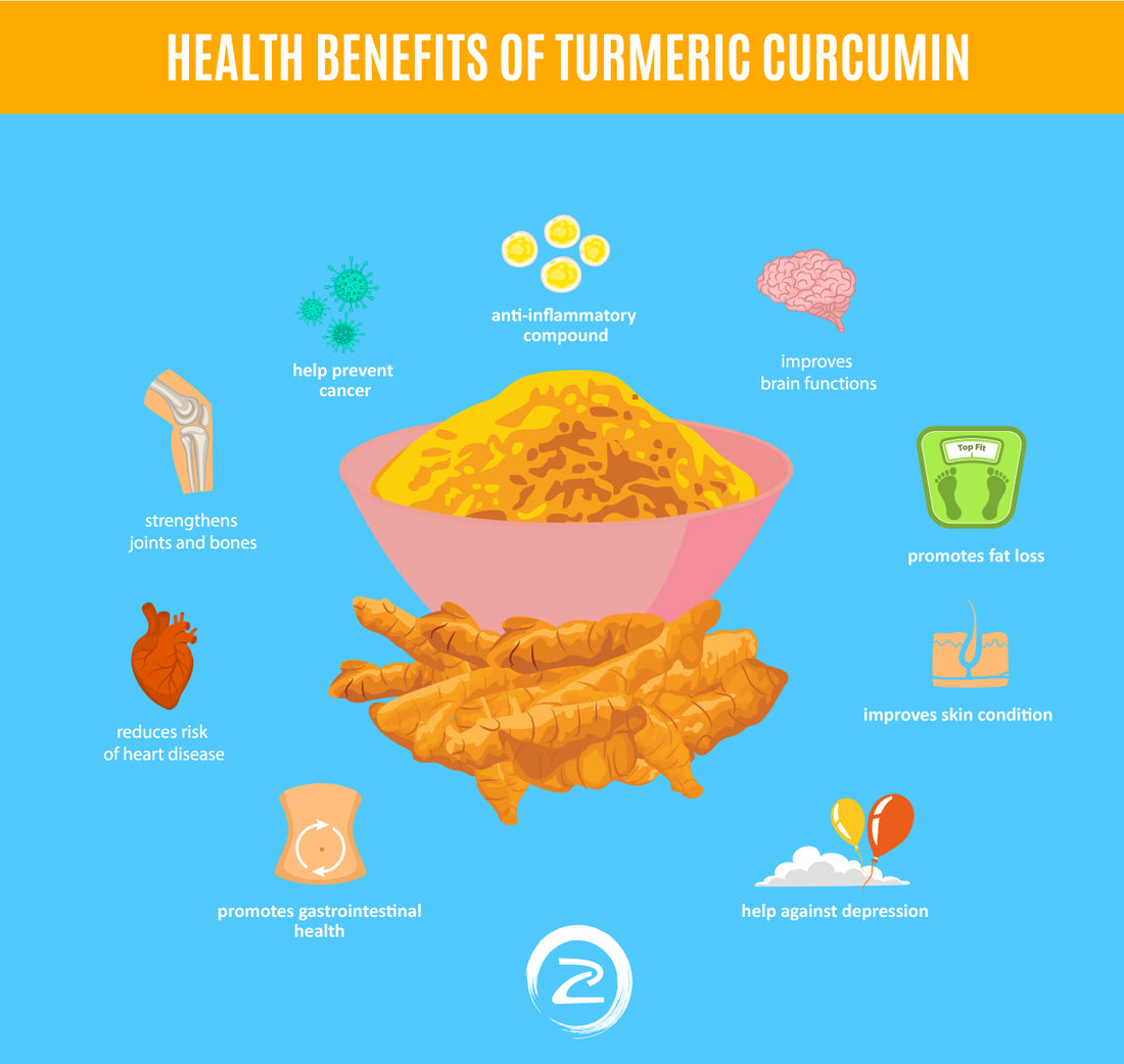 Turmeric Curcumin isn’t Just a Trendy Dietary Supplement