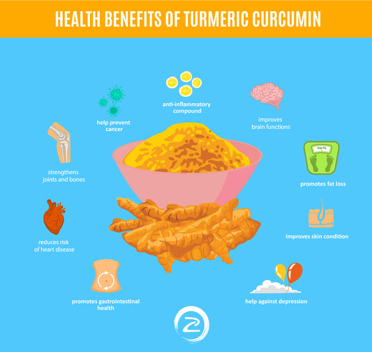 Turmeric Curcumin isn’t Just a Trendy Dietary Supplement