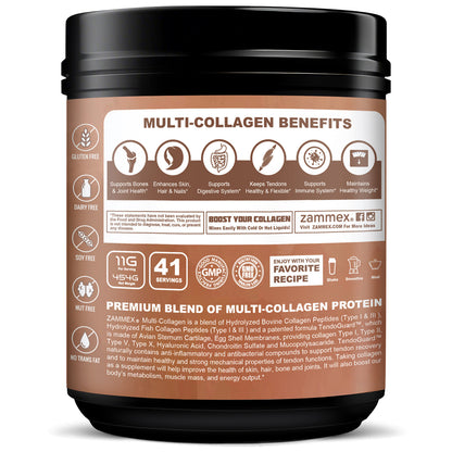 Zammex Multi Collagen Protein Powder 1lb Chocolate Coconut Flavor