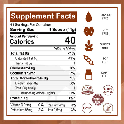 Zammex Multi Collagen Protein Powder 1lb Chocolate Coconut Flavor, Collagen Peptides for Women,  Supports Skin, Hair, Nails, Fitness Supplement