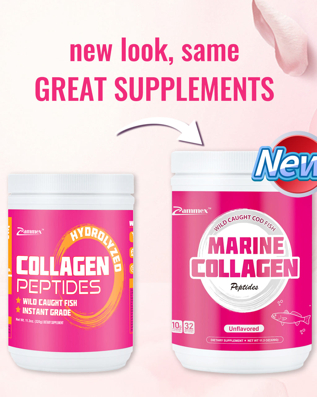 Best Marine Collagen Powder