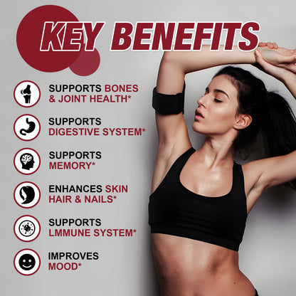 Zammex Bone Broth Protein Powder, French Onion Flavor