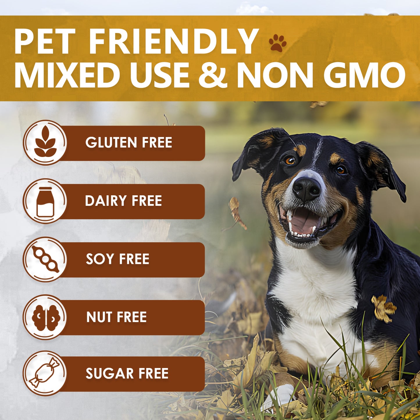 Zammex BeefyPaws Bone Broth Powder for Dogs&Cats