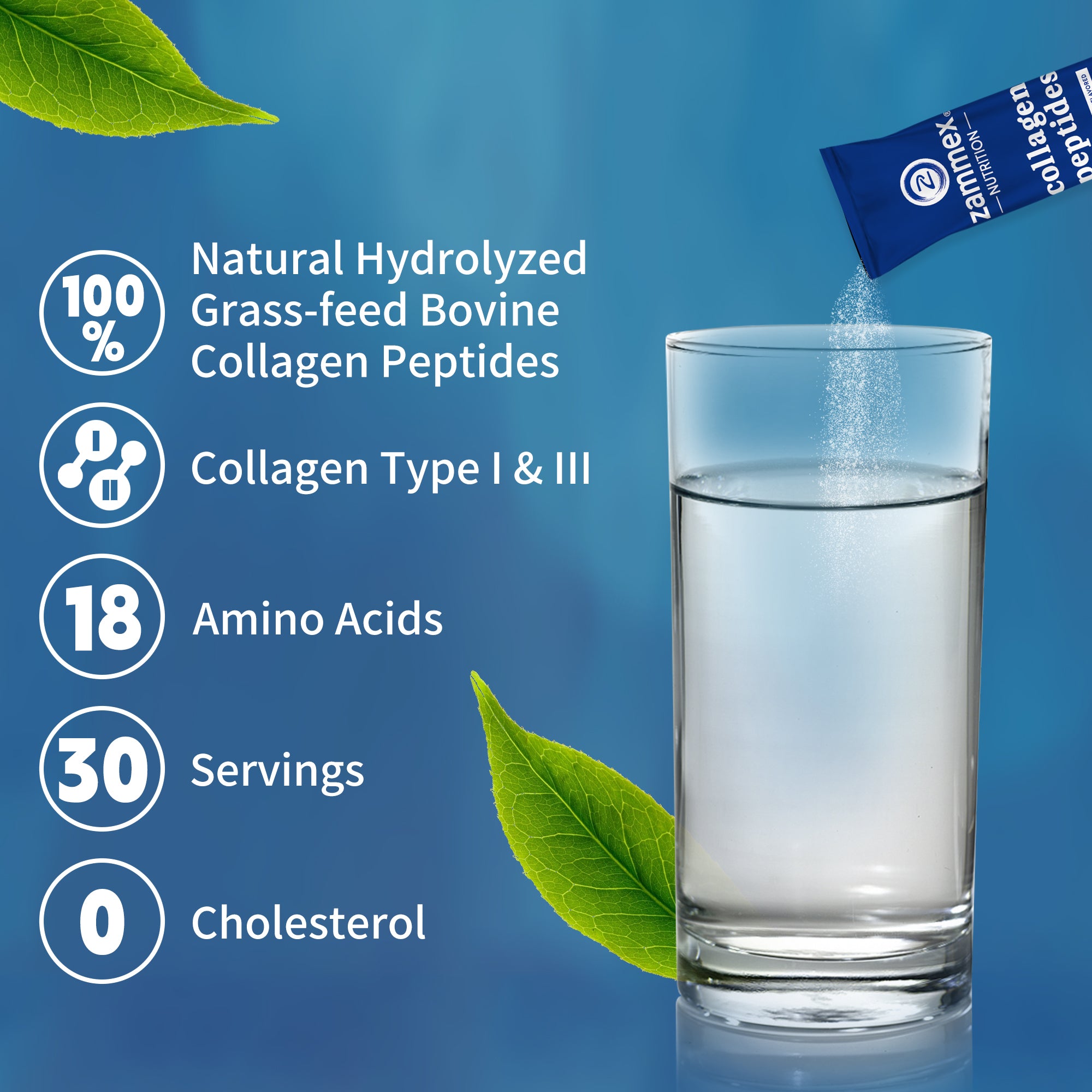 Zammex Hydrolyzed Collagen Peptides Powder | Grass-Fed Protein
