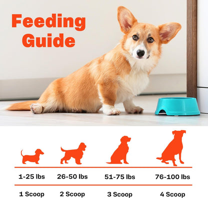 Zammex Pet Nutrition Bone Broth Powder for Dogs & Cats