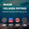 Hydrolyzed Marine Collagen Peptides
