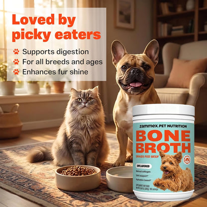 Zammex Pet Nutrition Bone Broth Powder for Dogs & Cats