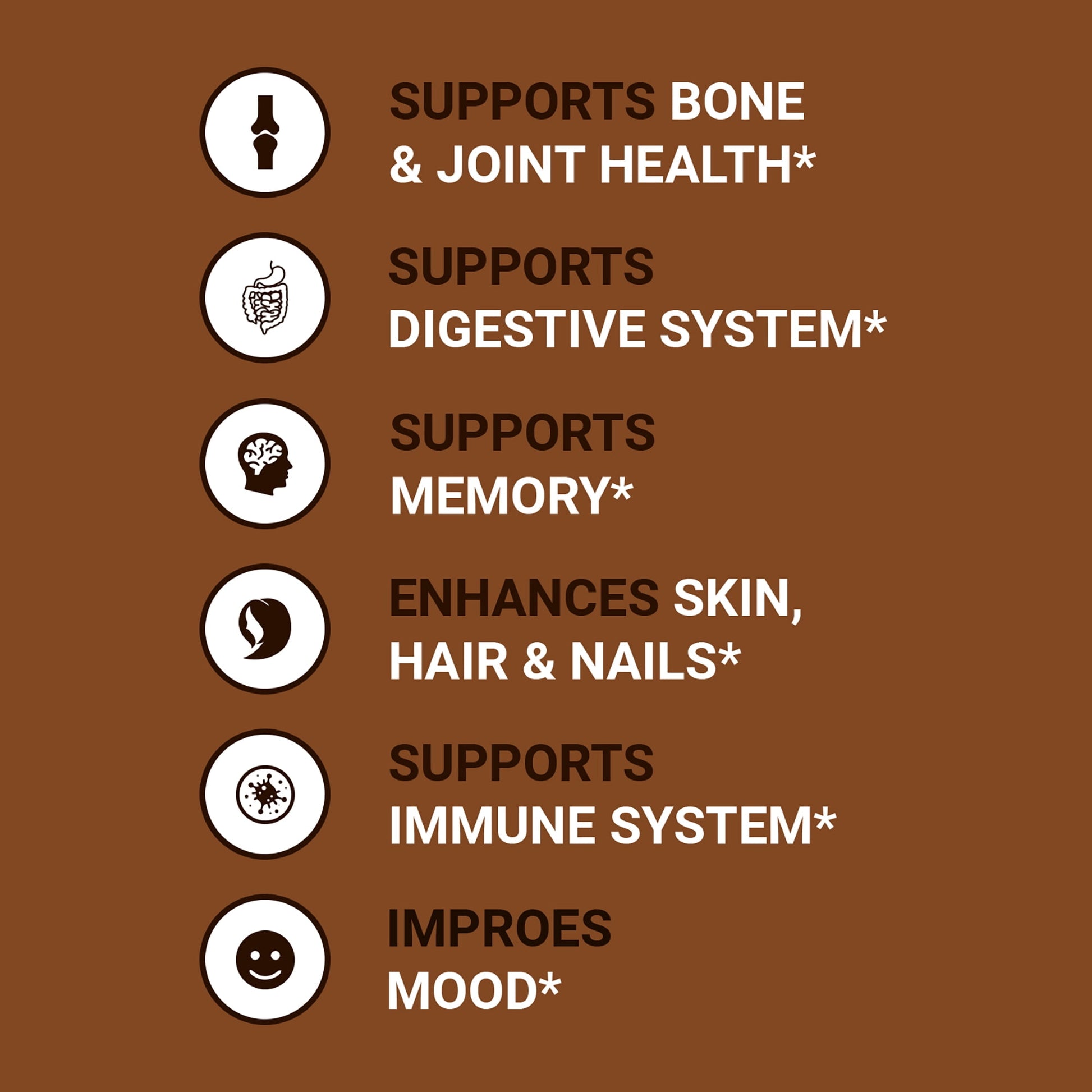 Zammex Chocolate Bone Broth Protein supporting gut health, digestion, joint mobility, and bone strength.