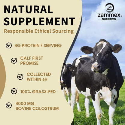 Sustainable and ethical sourcing of Zammex Grass-Fed Bovine Colostrum Powder from pasture-raised cows.